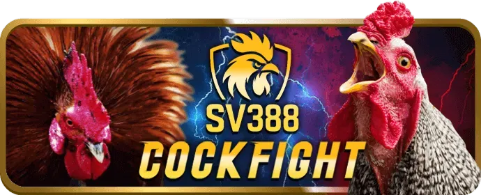 Phân tích E-sports và F1